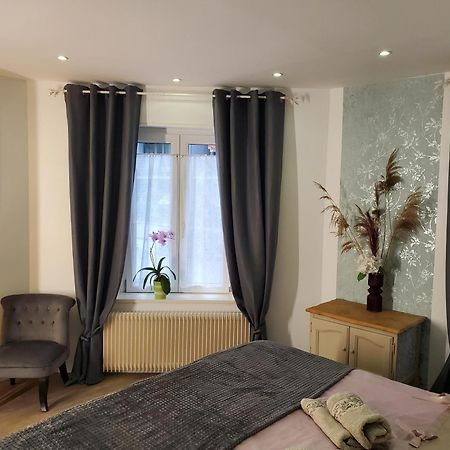 Mirka & Franck Apartment Chic 4 Stars Parking Free Colmar Exteriér fotografie