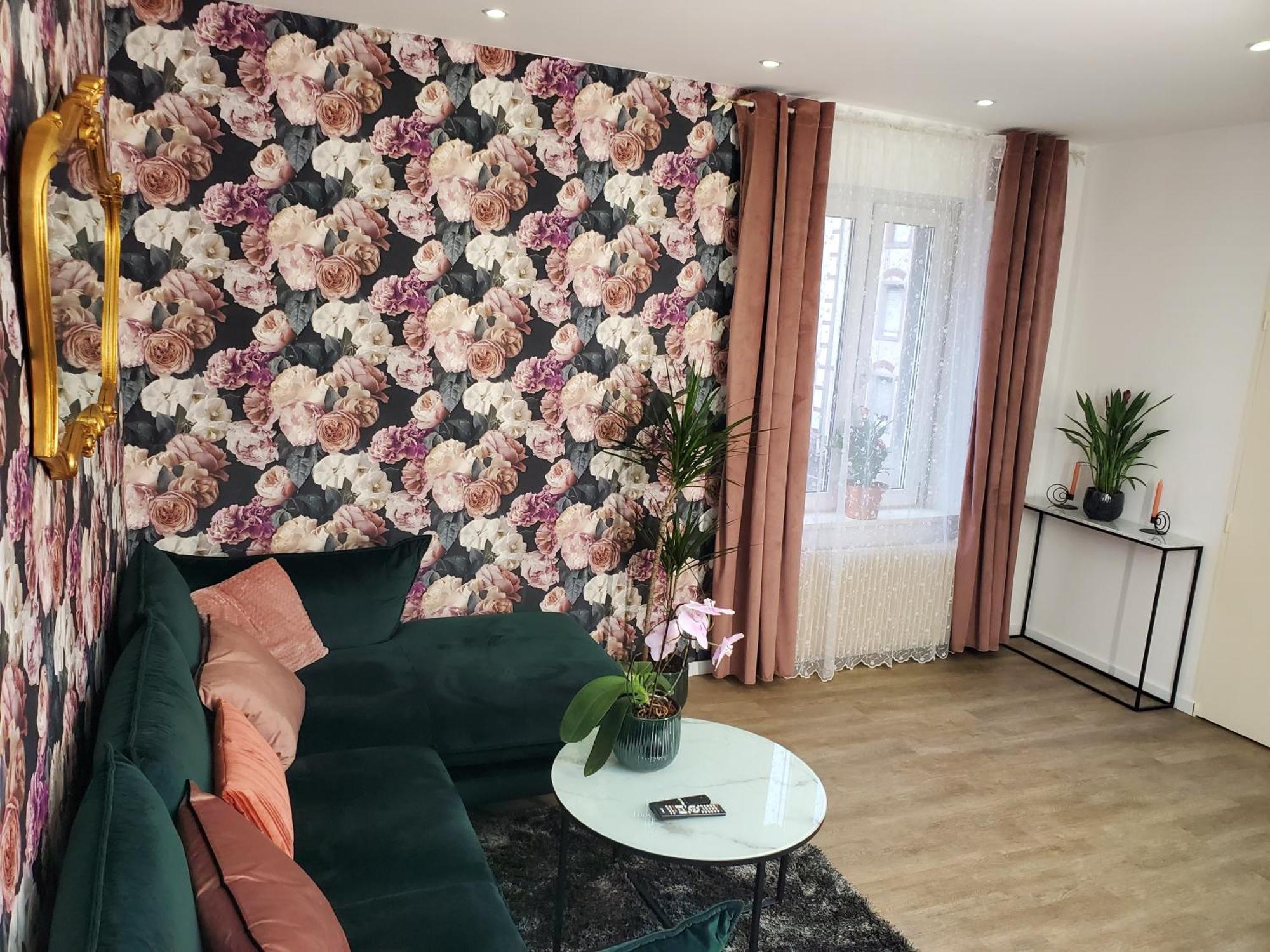 Mirka & Franck Apartment Chic 4 Stars Parking Free Colmar Exteriér fotografie