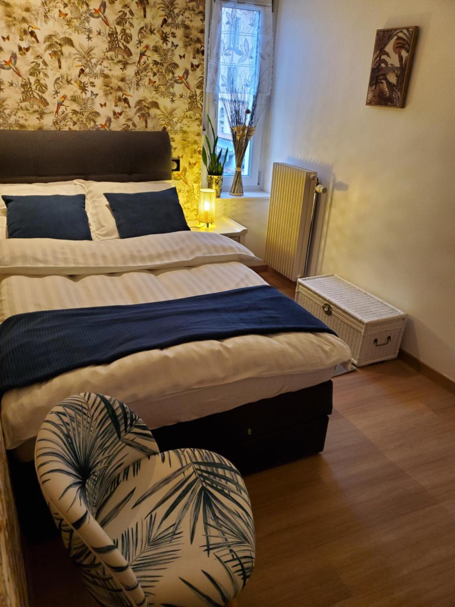 Mirka & Franck Apartment Chic 4 Stars Parking Free Colmar Exteriér fotografie